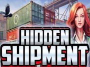Spiel Versteckte Lieferung  Online
