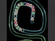 Spiel TD Neon Shooting Online