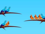 Spiel Vogelsortierung  Online