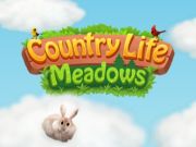 Spiel Landleben-Wiesen  Online