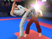 Spiel Karate-Kämpfer Online Spiel Karate-Kämpfer Online