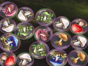 Spiel Pilze zusammenführen!  Online