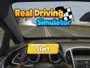 Spiel Echter Fahrsimulator  Online