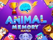 Spiel Tiergedächtnisübereinstimmung  Online