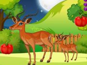 Spiel Mitternachtsflügel  Online