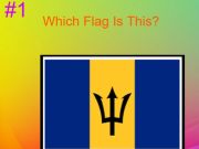 Spiel 30S Hartflagge Quiz  Online