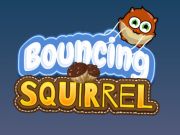 Spiel Sprungscheide Eichhörnchen  Online