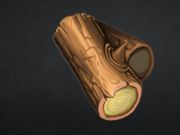Spiel Stonecraft  Online
