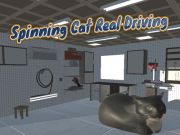 Spiel Spinnenkatze echtes Fahren  Online