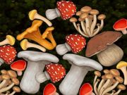 Spiel Pilz verschmelzen  Online