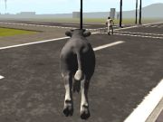 Spiel Verrückte Bull City  Online