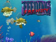 Spiel Füttern Wahnsinn Online
