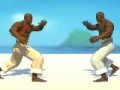 Spiel Capoeira -Kämpfer  Online