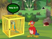 Spiel Führen Sie ein gefangener Macaw Buddy frei Online