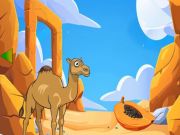 Spiel Kamel sucht sie jung Online