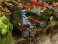 Spiel Extremes Mountainbiken  Online