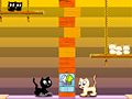 Spiel Kocani Katzen Online