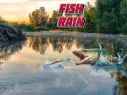 Spiel Fischregen Online