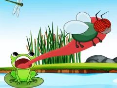 Hungry Frog – kostenloses Online-Spiel