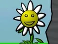 Flower Power – kostenloses Online-Spiel