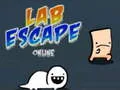 Lab Escape Online – kostenloses Online-Spiel