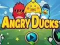 Angry Ducks – kostenloses Online-Spiel