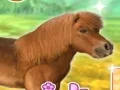 My Dear Pony – kostenloses Online-Spiel