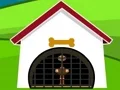 Ostrich Rescue – kostenloses Online-Spiel