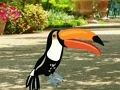 Find Woodpecker Pair – kostenloses Online-Spiel