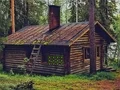 Assist The Barn Owl – kostenloses Online-Spiel
