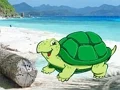 Beach Crab Pair Escape – kostenloses Online-Spiel