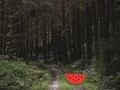 Dense Forest Deer Escape – kostenloses Online-Spiel