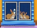 Find The Animal First Aid Kit – kostenloses Online-Spiel