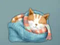 Adorable Escape Find Cute Kitten – kostenloses Online-Spiel