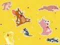 The Tom and Jerry Show Find it! – kostenloses Online-Spiel