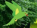 Parrot Find The Nest – kostenloses Online-Spiel
