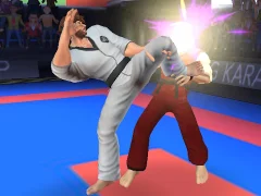 Karate Fighter – kostenloses Online-Spiel