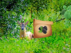 Return To Alsunga Forest – kostenloses Online-Spiel