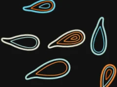 The pollywog – kostenloses Online-Spiel