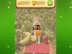 Farm Cat Memory Match – kostenloses Online-Spiel
