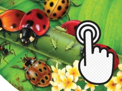 Ladybug Clicker – kostenloses Online-Spiel