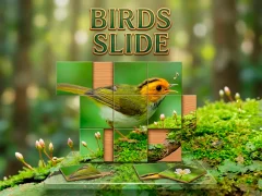 Birds Slide – kostenloses Online-Spiel