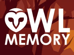 Owl Memory – kostenloses Online-Spiel