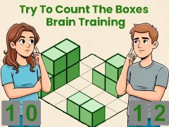 Try To Count The Boxes Brain Training – kostenloses Online-Spiel