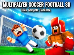 Multiplayer Football Soccer 3D – kostenloses Online-Spiel