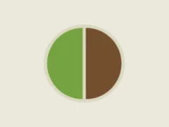 Ball Catcher – kostenloses Online-Spiel