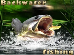 Backwater Fishing – kostenloses Online-Spiel