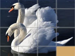 Animals Slide Puzzle – kostenloses Online-Spiel