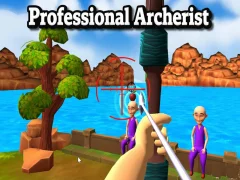 Professional Archerist – kostenloses Online-Spiel