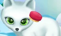 Paws to Beauty Arctic Edition – kostenloses Online-Spiel